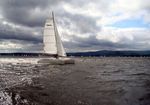 jonascatamaran boats
