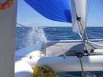 jonascatamaran boats